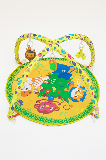 Baby Activity Play Gym